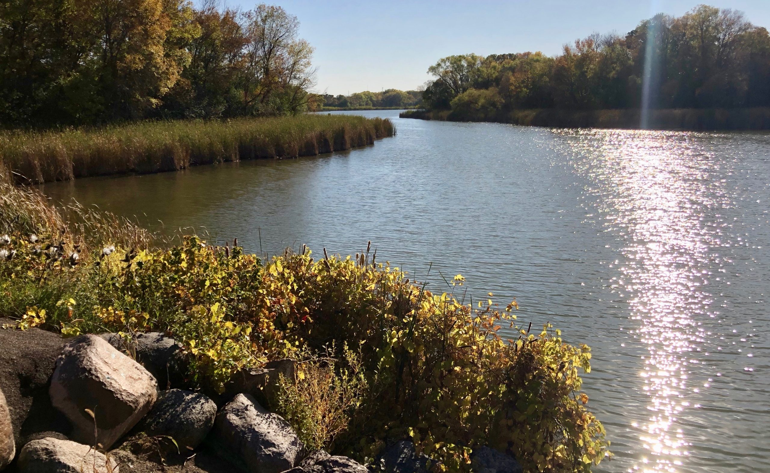 The Empty Tank Faith in the Struggle