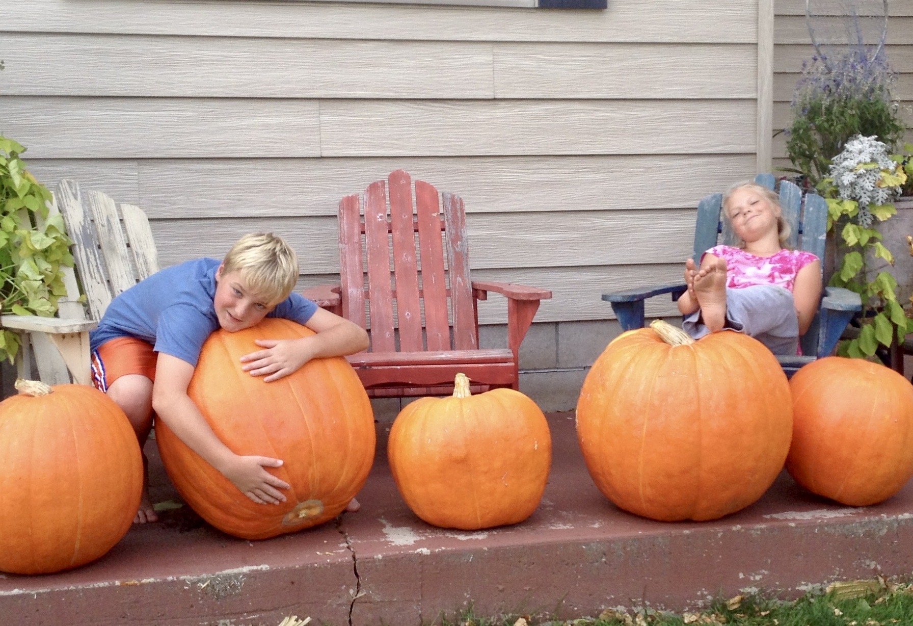 What’s Making Me Sick? Faith in the Struggle